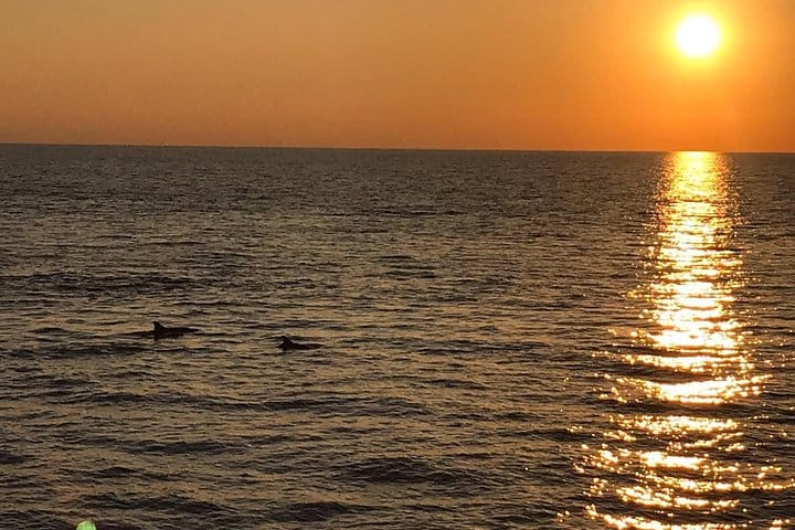Sunset and Dolphin Excursion Pula - Ship Ulika 10