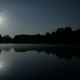 Alligators Night Watch