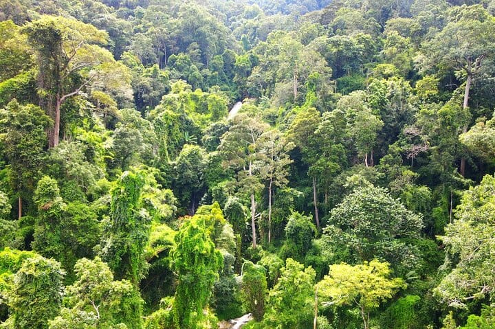 Chiang mai Suthep National Park Leisure Hiking & Mountain Biking