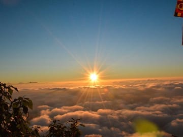 Hiking Tour to Adam's Peak and Wilderness Sanctuary in Colombo