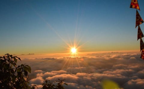 Hiking Tour to Adam's Peak and Wilderness Sanctuary in Colombo