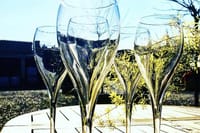 Wine Tasting
