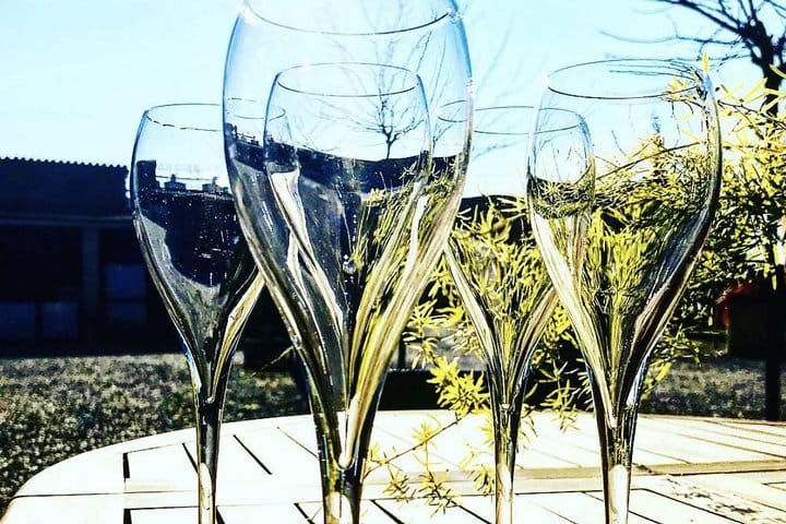 Wine Tasting
