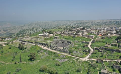 Private Cultural Tour of Umm Qais from the Dead Sea
