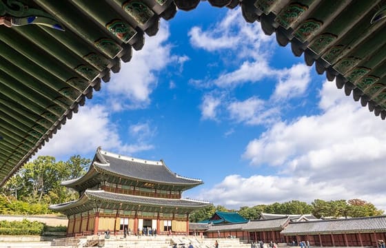 Layover Private Seoul Highlight Tour with licensed Tour Guide