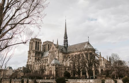 Professional Photoshoot at Notre-Dame in Paris