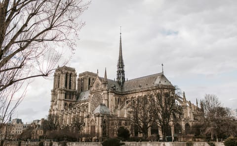 Professional Photoshoot at Notre-Dame in Paris