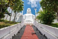 04 nights Sigiriya, Kandy & Colombo Tour in Sri Lanka 6