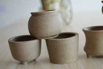 Pottery Making and Local Market Tour in Dali, China