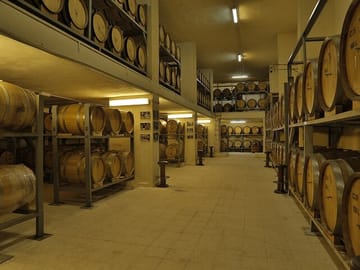 Private Wine Tasting and Boulevard Walk in Amman