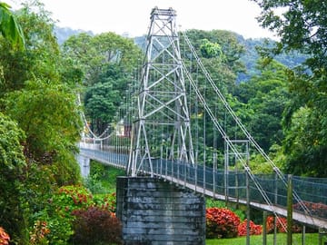Kandy-Private-Day-Tour-from-Colombo_Negombo_3