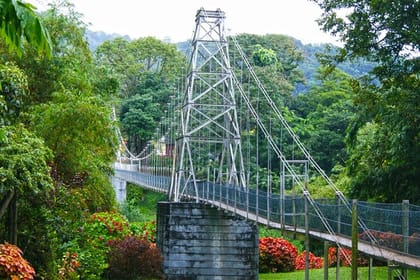 Kandy Private Day Tour from Colombo/Negombo