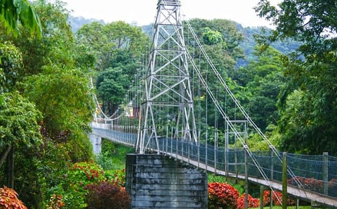 Private Day Tour of Kandy's Cultural Highlights from Colombo