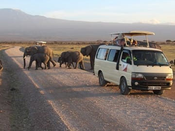 Private 3-Day Masai Mara Safari from Nairobi