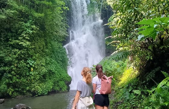 Top Waterfalls in Bali: Leke-Leke, Aling-Aling, Blue Lagoon