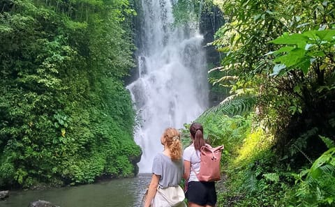 Full-Day Waterfall Tour in Sambangan, Singaraja, Bali