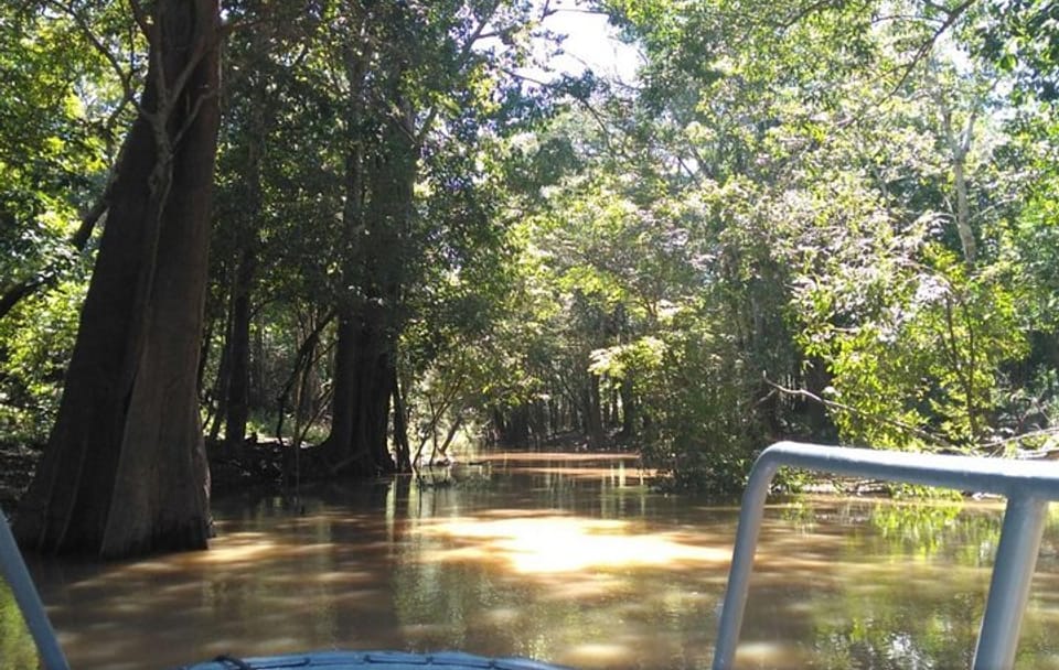 Four-Day Amazon Jungle Adventure from Manaus