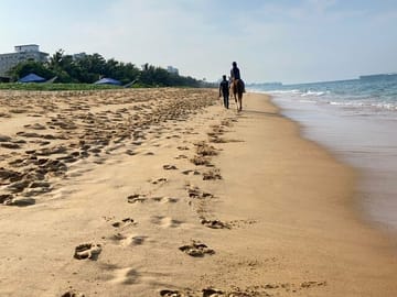 Private Horseback Riding Experience in Mount Lavinia