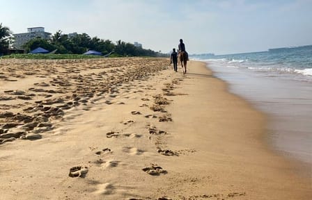 Private Horse Riding in Mount Lavinia