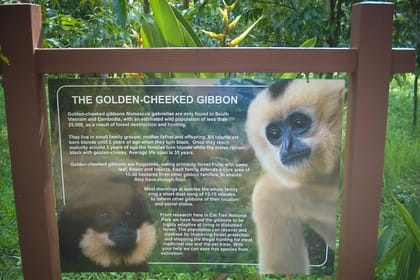 2-Day Trekking & Biking Nam Cat Tien National Park from HCM City