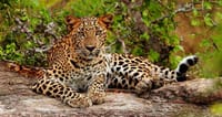 07 Day Nature & Wildlife Tour  In Sri Lanka 10