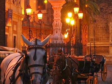 Horse and Buggy Ride