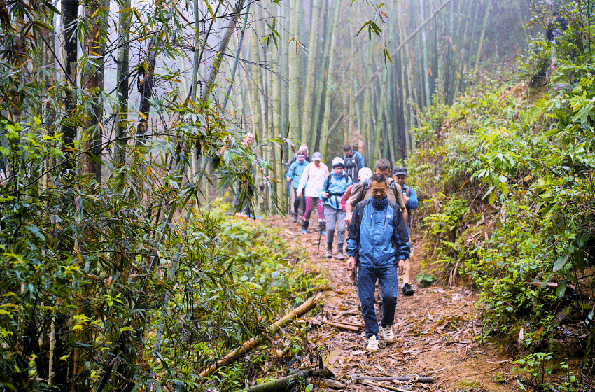 Sapa Day Tour - Trekking