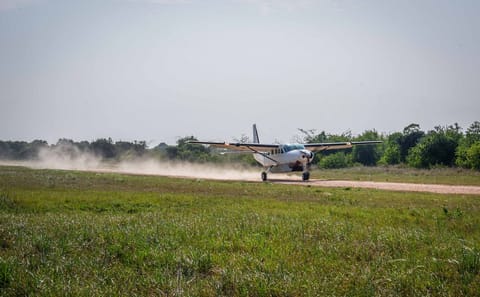 Nyerere National Park 2-Day Safari with Game Drives and Boat Safaris from Zanzib