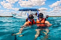 The Tulum Sea Turtle and Rays 1.5 Hours Snorkel Experience 8