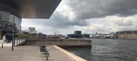 City, Nature & Cycling — Private Experience in Copenhagen 4