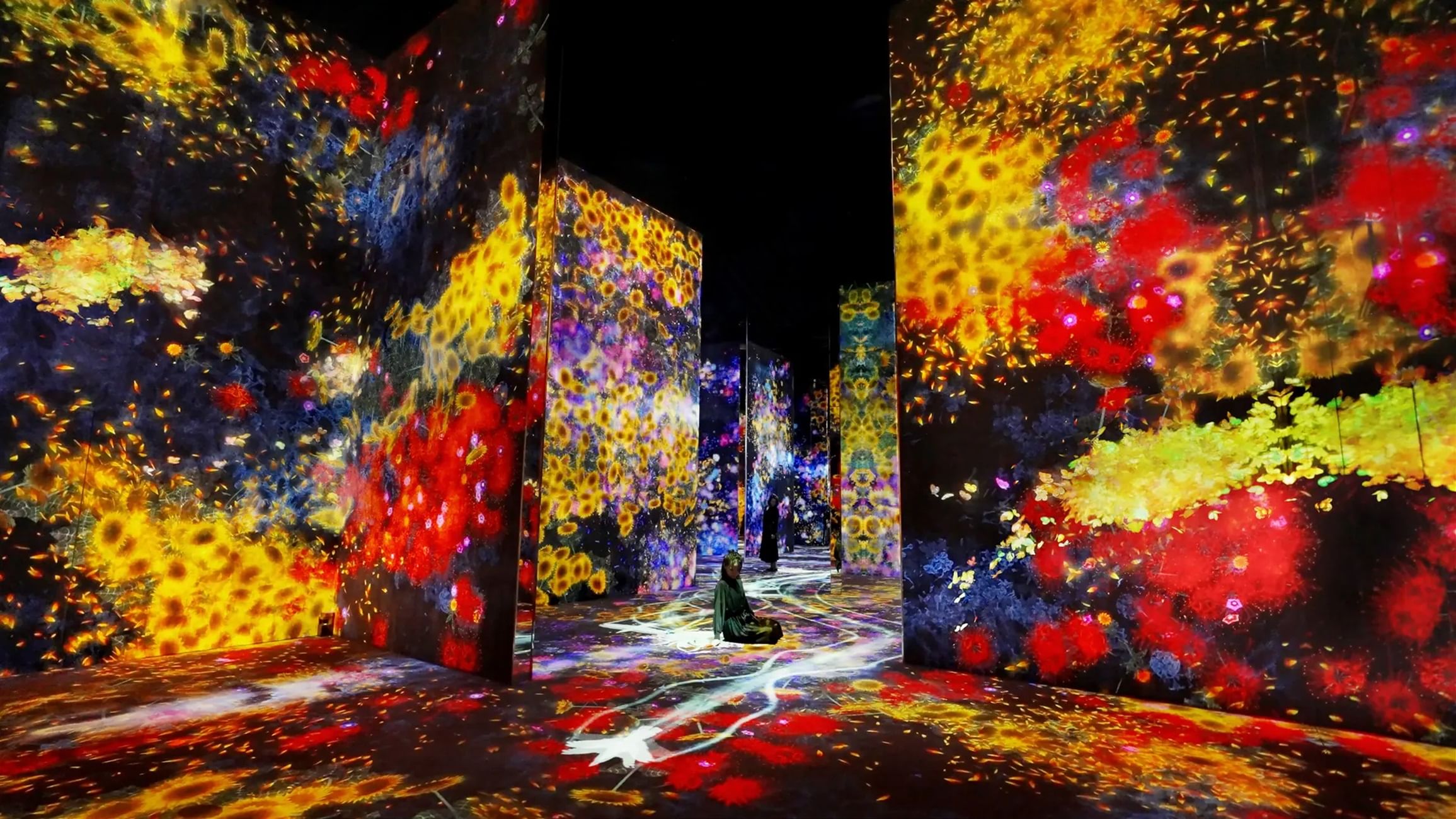 teamlab Borderless Tokyo