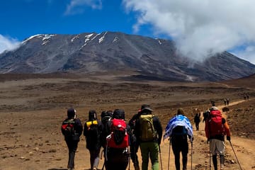 7-Day Guided Trek on Kilimanjaro's Shira Route from Moshi