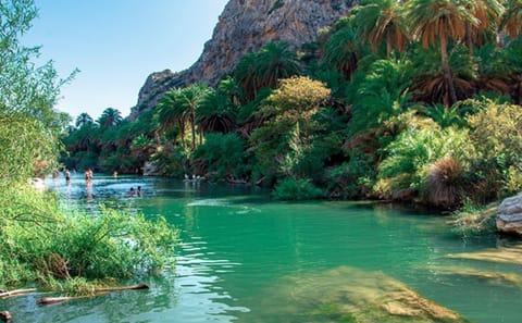 Private Day Tour to Preveli Palm Beach from Rethymnon