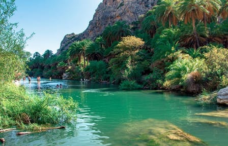 Private Tour: Preveli Palm Beach From Rethimno