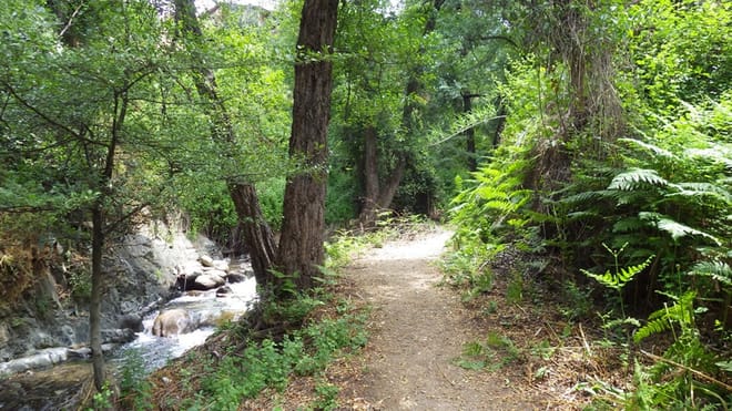 Old Kakopetria and UNESCO Agios Nicolaos tis Stegis with Optional Troodos Walk (Private Tour from Larnaca) photo 2