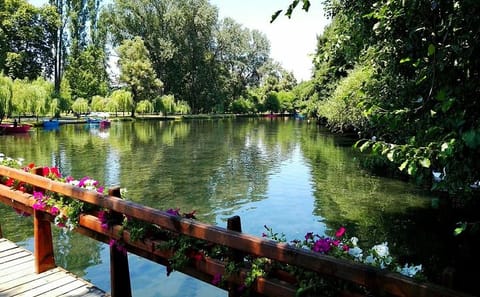 Day Trip to Ohrid and Saint Naum from Tirana