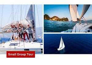 Full Day Sailing Tour with light lunch (collective  from Palermo)