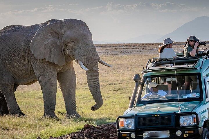 Maasai Mara, Lake Nakuru, Naivasha & Amboseli Safari Adventure