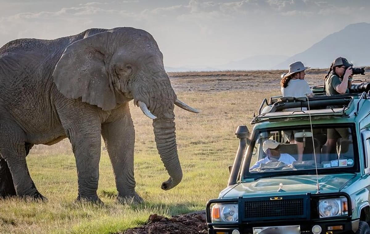 7 Days Masaai Mara Lake Nakuru Lake Naivasha and Amboseli safari