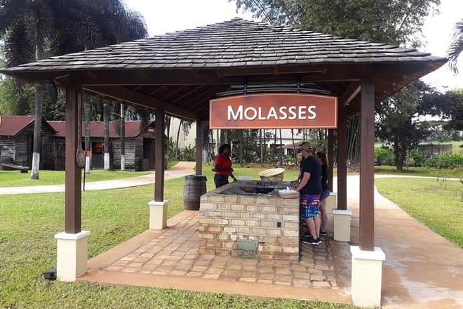 THE MOLASSES STATION