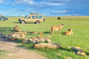 3 Days 2 Nights Private Budget safari to Maasai Mara