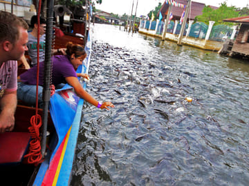 Bangkok Arrival Transfer with Bangkok River by Night Dinner Cruise