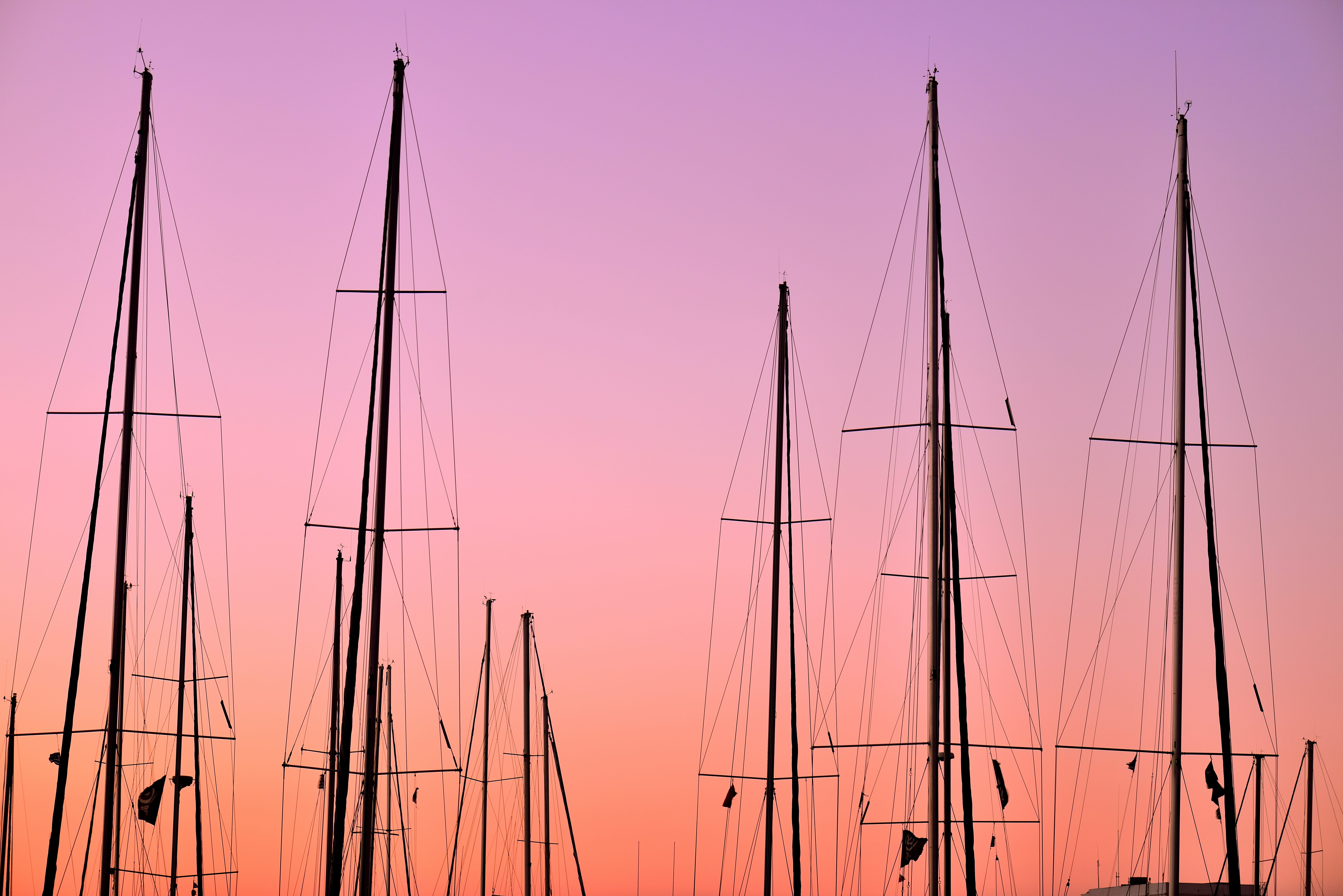 Many sailboat masts moored in port with their rig against a pink, orange and gold sky background.