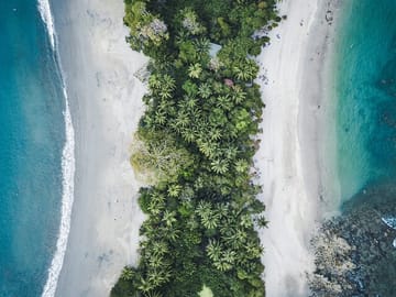 Day Trip to Manuel Antonio National Park from San José