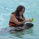 Manatee Encounter en Isla Mujeres 6