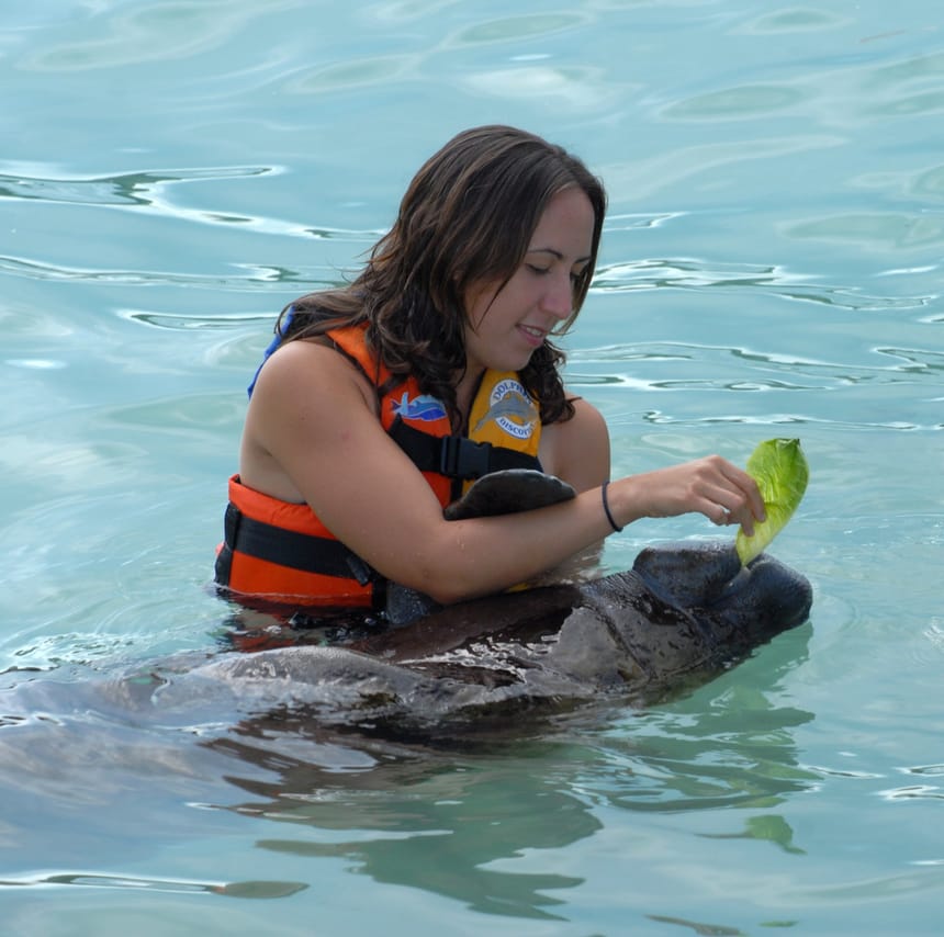 Manatee Encounter en Isla Mujeres 6