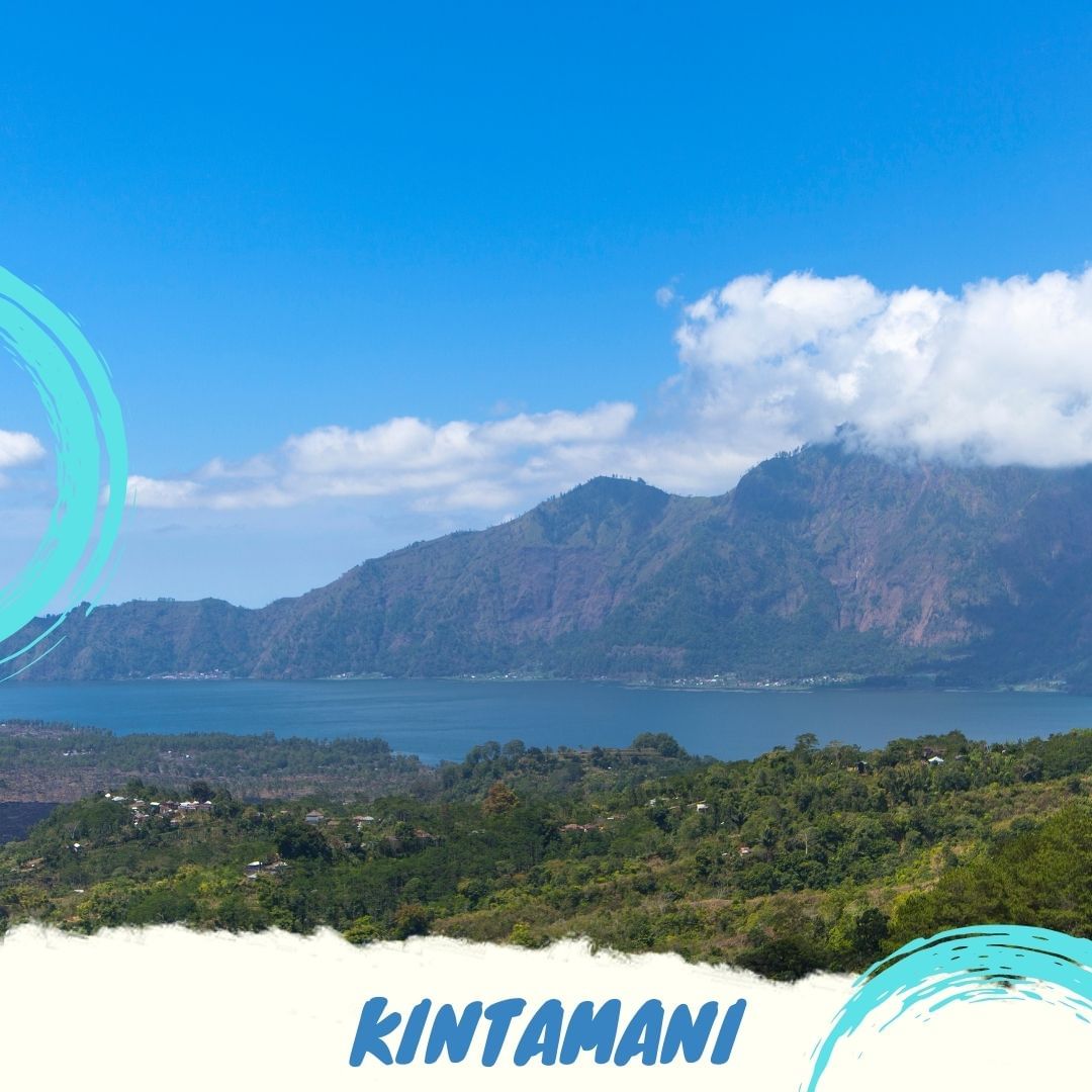 Kintamani