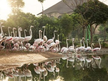 Dubai Safari Park Wildlife Adventure Tour for Families