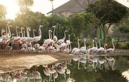Dubai Safari Park Wildlife Adventure Tour for Families
