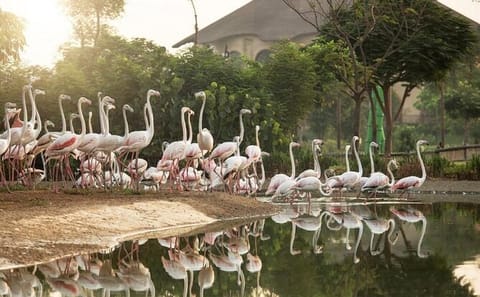 Dubai Safari Park Wildlife Adventure Tour for Families